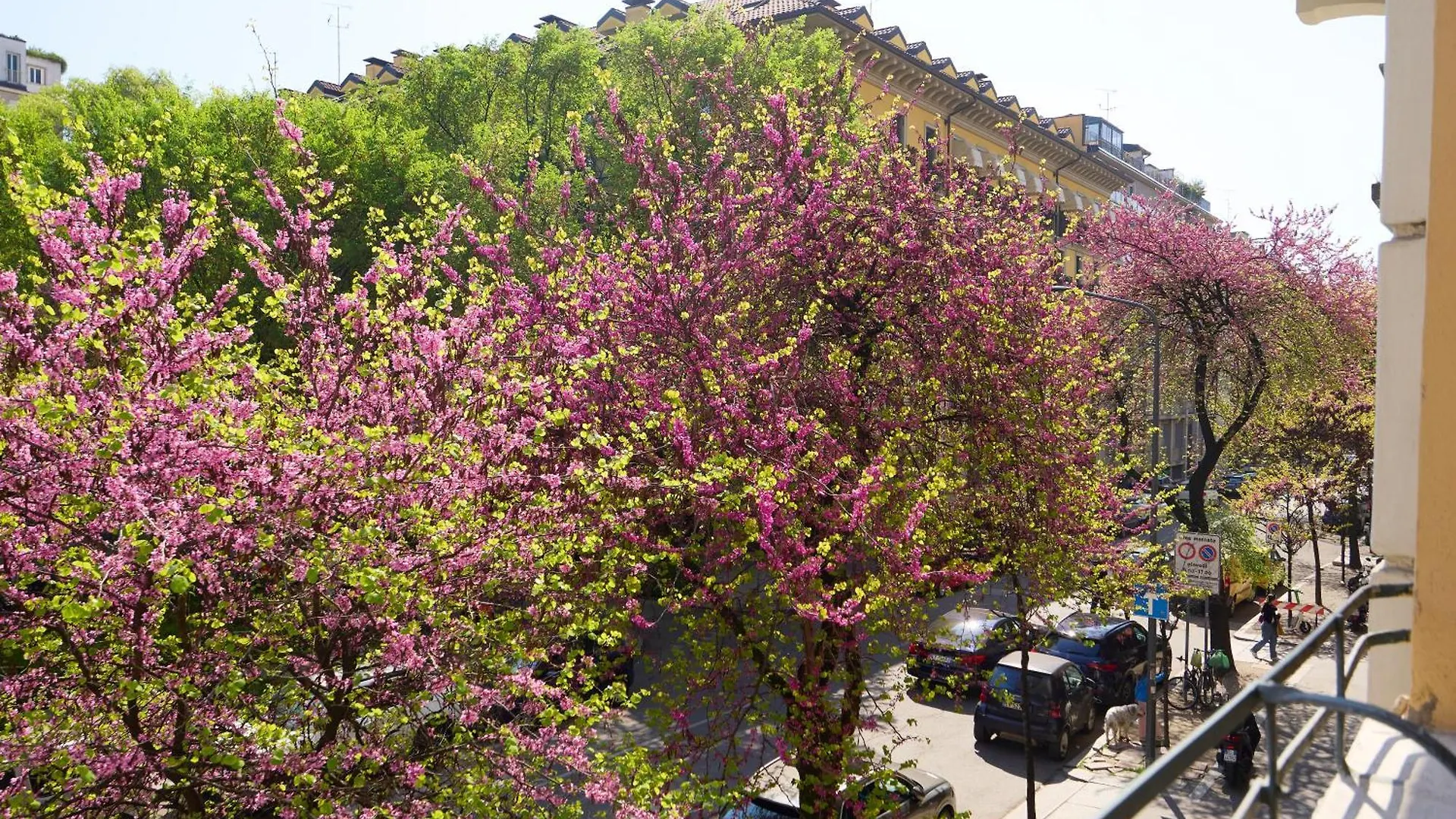 Beautiful Apartment In Tricolore ミラノ